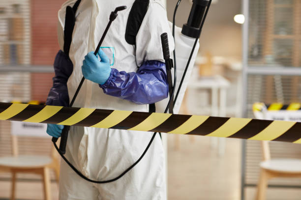 Professional Sewage Cleanup technician working in Jewett City, CT